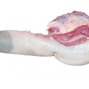 Buy Frozen Beef Tongue online