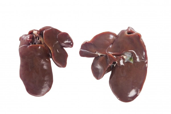 Chicken Liver