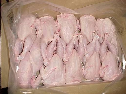 Brazilian frozen chicken manufacturer